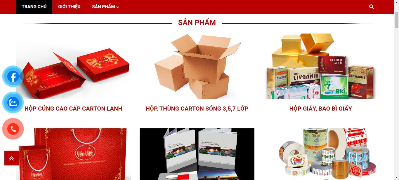 Viet Packaging